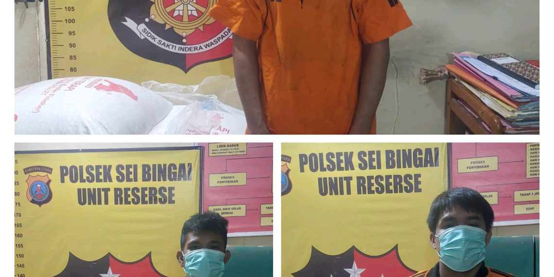 Polsek Sei Bingai Amankan Pelaku Pencurian Terhadap Pakan Ternak Di Desa Gunung Ambat