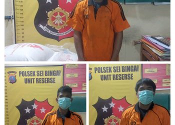 Polsek Sei Bingai Amankan Pelaku Pencurian Terhadap Pakan Ternak Di Desa Gunung Ambat