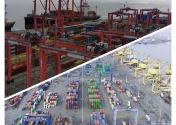 Arus Peti Kemas Belawan Tumbuh 5%, Sinyal Positif Ekonomi Sumatera Utara