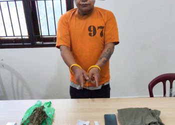 Simpan Sabu dan Ganja di Dua Lokasi, Petani di Karo Ditangkap Satresnarkoba