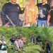 Berawal dari Informasi Warga, Polisi Langkat Ungkap 11 Batang Ganja di Perladangan