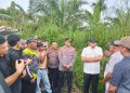 Gubernur Sumut Bersama Kapolres Binjai dan Plt. Bupati Langkat Tinjau Jalan Longsor di Desa Telagah