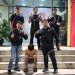Tim Macan Polres Pelabuhan Belawan Terkam Pemuda Diduga Hendak Tawuran, Sita 4 Celurit