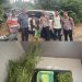 Terlibat Laka Lantas, Pria 69 Tahun Kedapatan Bawa Ganja, Polres Karo Kembangkan ke Ladangnya