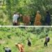 Di Temukan Jejak Kaki Harimau Polres Pakpak Bharat, BKSDA, Pihak Kecamatan Dan Pemerintah Desa Kuta Saga Cek Lokasi.