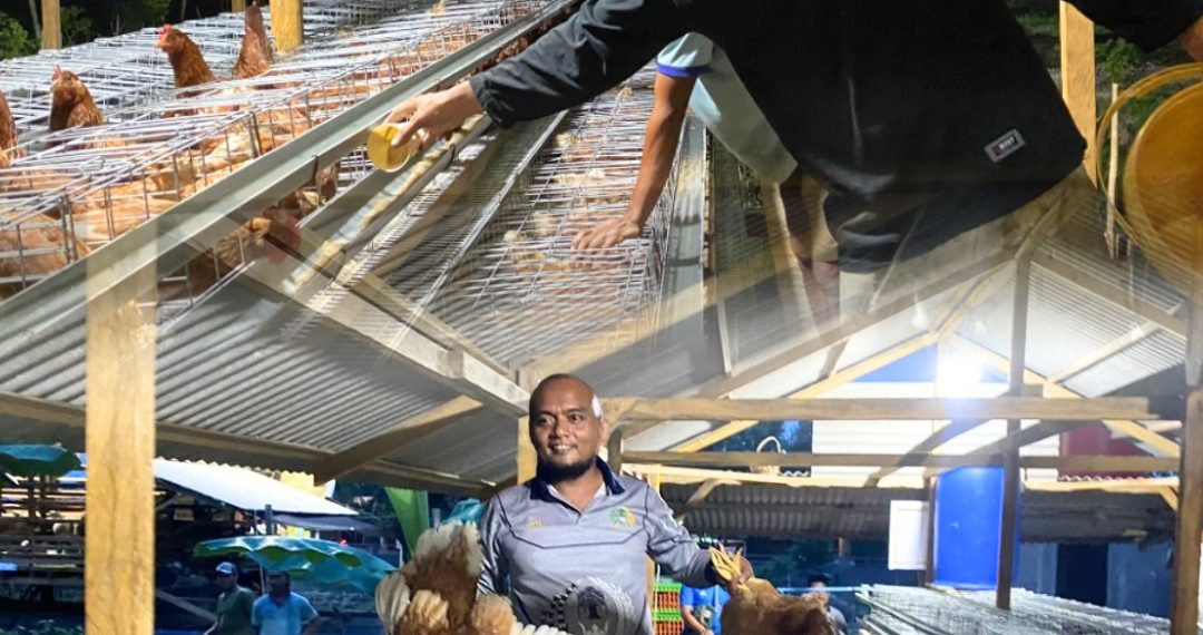 Tambahan Kegiatan Pembinaan Kemandirian,Rutan Tanjung Pura Masukkan 200 Ekor Ayam Siap Bertelur diSarana Asimilasi dan Edukasi