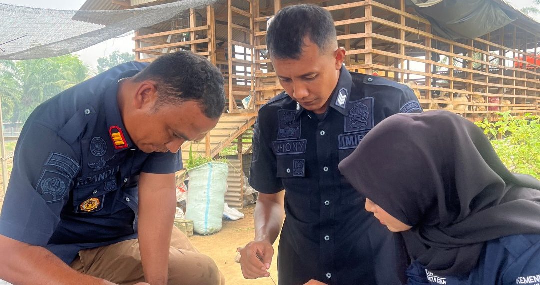 Persiapan Penanaman Tahap Berikutnya Rutan Tanjung Pura laksanakan Penyemaian Benih Sawi Hidroponik di Lahan Ketahanan Pangan
