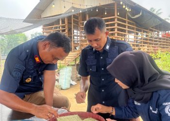 Persiapan Penanaman Tahap Berikutnya Rutan Tanjung Pura laksanakan Penyemaian Benih Sawi Hidroponik di Lahan Ketahanan Pangan