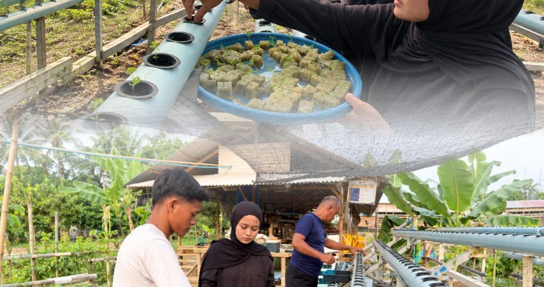 Upaya Berkelanjutan Mendukung Program Ketahanan Pangan Rutan Tanjung Pura Laksanakan Pemindahan Bibit Sawi ke Media Hidroponik