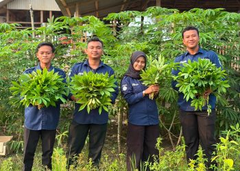 Wujudkan Kemandirian Pangan Rutan Kelas IIB Tanjung Pura Panen 30 Kilogram Daun Singkong dari Lahan Ketahanan Pangan