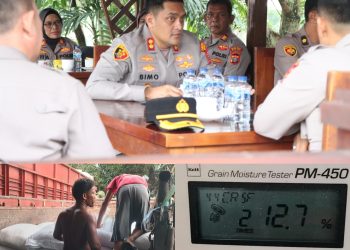 Kapolres Binjai Perkuat Ketahanan Pangan, Serapan Jagung Tembus 326,2 Ton