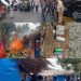 Kapolres Binjai Komitmen Berantas Narkoba