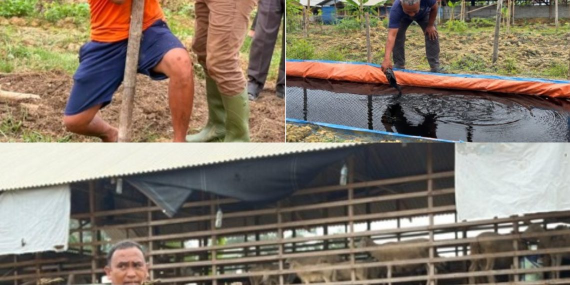 Karutan Bersama Jajaran, Peserta Magang, dan Warga Binaan Rutan Kelas IIB Tanjung Pura Bahu-Membahu Laksanakan Pemasangan Lanjaran Tanaman Labu Siam serta Pemberian Cairan Penyubur Tanah pada Lahan Ketahanan Pangan