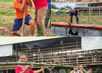 Karutan Bersama Jajaran, Peserta Magang, dan Warga Binaan Rutan Kelas IIB Tanjung Pura Bahu-Membahu Laksanakan Pemasangan Lanjaran Tanaman Labu Siam serta Pemberian Cairan Penyubur Tanah pada Lahan Ketahanan Pangan